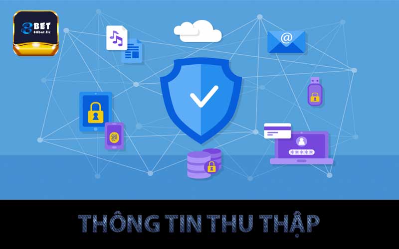 thông tin thu thập